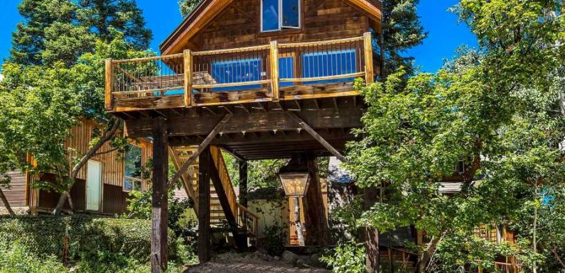 tree house airbnb near me