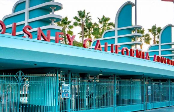 Disneyland's California Adventure Is Planning a Food Festival for Fans Who Are Missing the Park