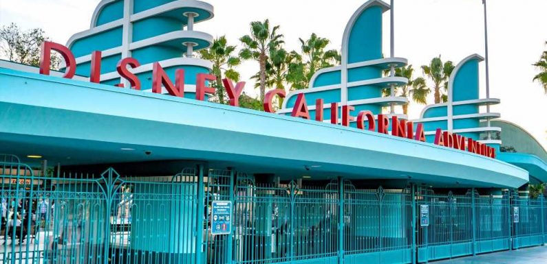 Disneyland's California Adventure Is Planning a Food Festival for Fans Who Are Missing the Park