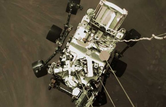 NASA's Perseverance Rover Is Tweeting From Mars and It's Both Hilarious and Educational