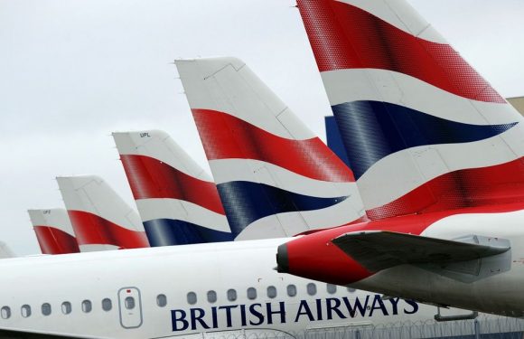 British Airways travellers can buy £33 rapid coronavirus tests to take abroad