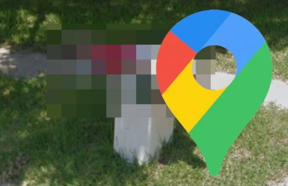 Google Maps Street View: Man adopts bizarre position in garden scene