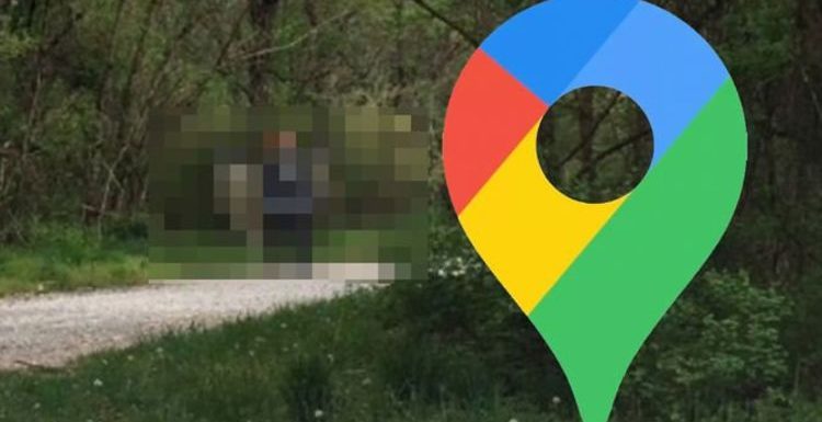 Google Maps Street View: Weird, giant creature lurking in forest scares viewers