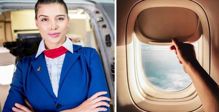 Cabin crew secrets: Flight attendant shares importance of keeping window blinds up