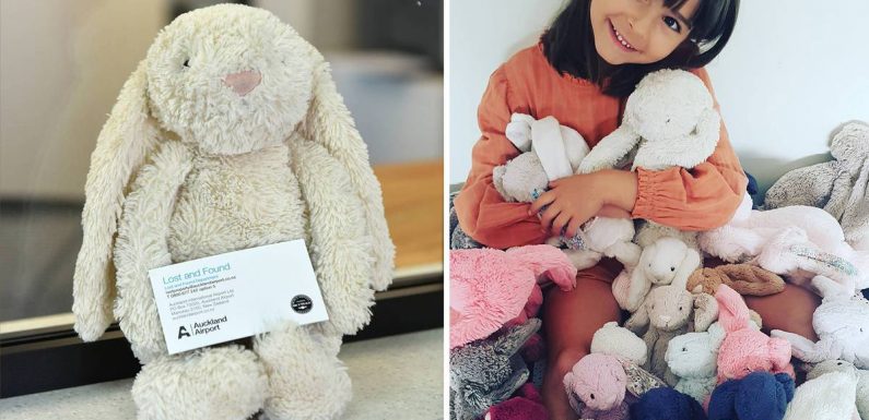 Where does airport lost property go? Bunny and items find new Auckland homes