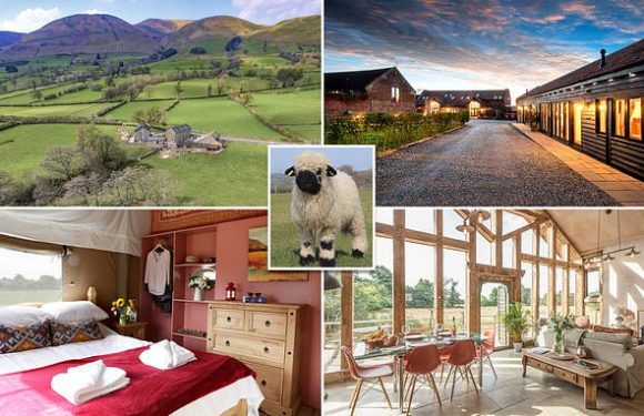 These British farms offer the perfect escape to the country