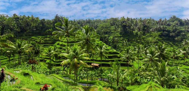 Were Booking This Fully Refundable 5-Star Bali Vacation for Under $900