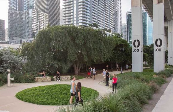 Miami Is Creating a Gorgeous New Park Underneath Its Downtown Rail Lines