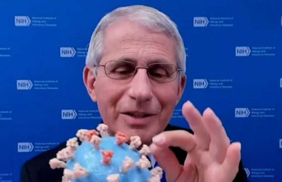Dr. Fauci Donates His Personal 3D Model of COVID-19 to the Smithsonian