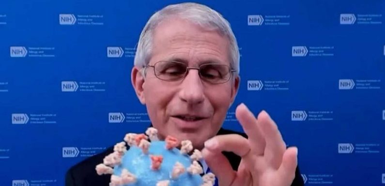 Dr. Fauci Donates His Personal 3D Model of COVID-19 to the Smithsonian