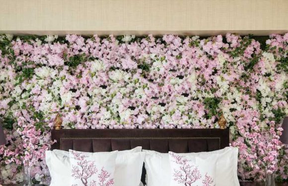 D.C. Is Turning Pink: Here’s Where to Stay, Shop, and Eat During Cherry Blossom Season