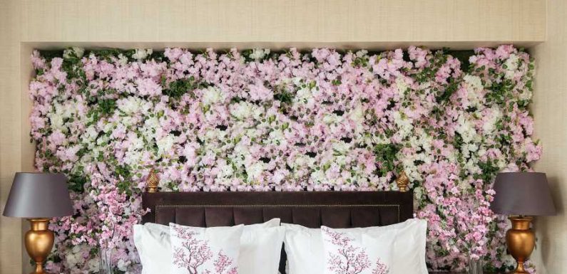 D.C. Is Turning Pink: Here’s Where to Stay, Shop, and Eat During Cherry Blossom Season