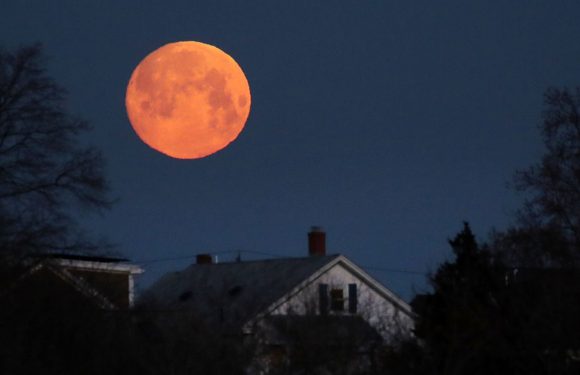 A Super Worm Moon Will Light Up the Sky This Weekend — How to See It