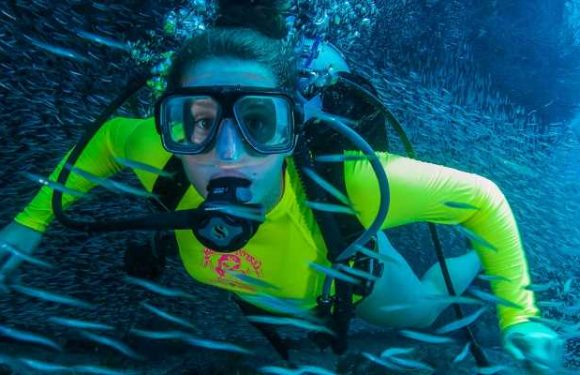 10 great places to go scuba diving right here in the US – even in the Midwest