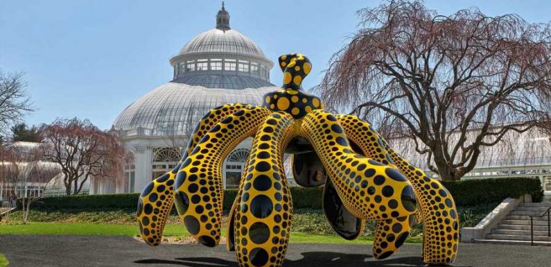 Beloved Artist Yayoi Kusama's 'Cosmic Nature' Exhibit Is Now Open at the New York Botanical Garden