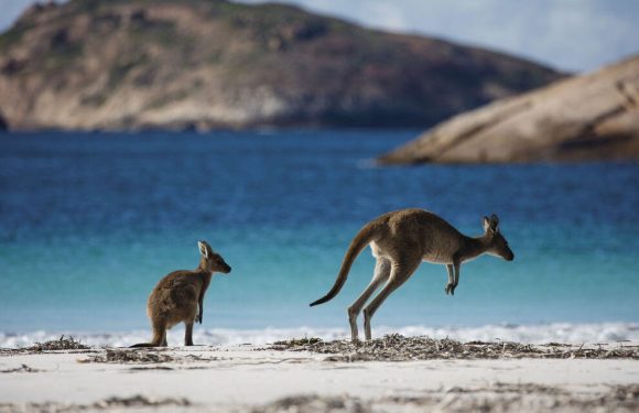 Explore gorgeous and remote Western Australia on this virtual tour