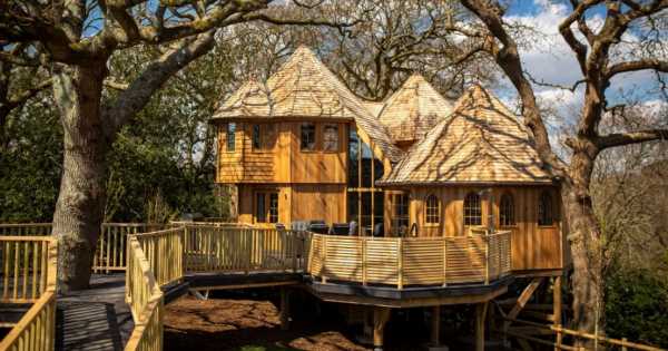 Inside luxury treehouse with pizza ovens and hot tubs on outdoor decking