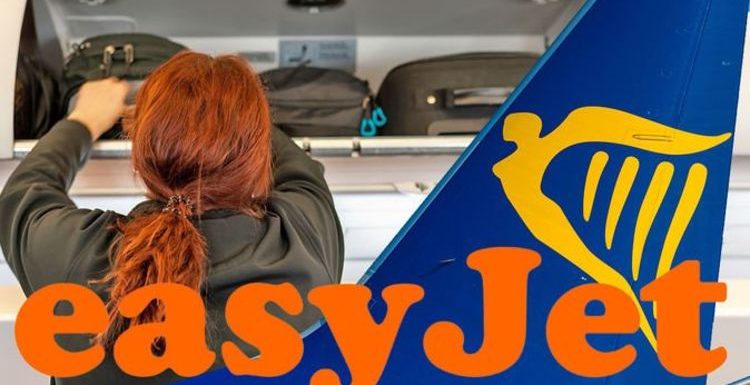 Hand luggage: Expert shares 10 top tips for beating Ryanair and easyJet cabin bag rules