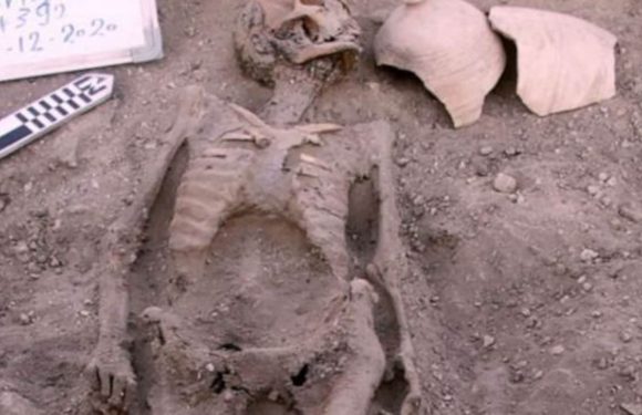 Egypt confirms ‘lost golden city’ found in Luxor during King Tut mission