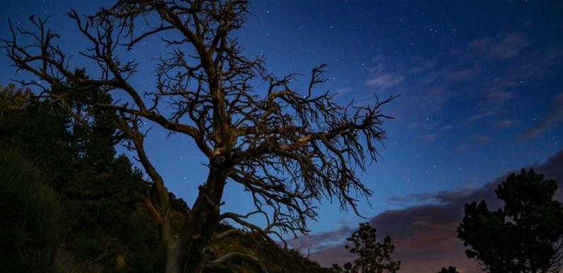 This Colorado National Park Was Just Named One of the Best Places for Stargazing in the U.S.