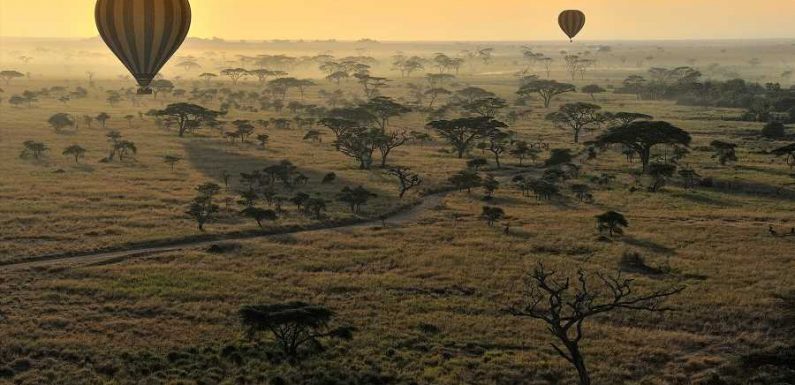 10 Incredible National Parks in Africa – From Vast Deserts to Rain Forests and Mountains