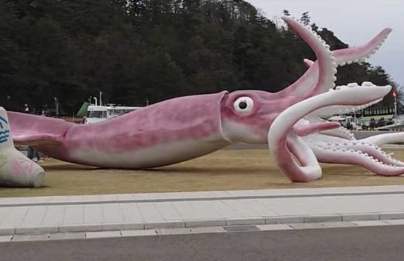 Japanese Town Hopes $274,000 Statue of Gigantic Squid Will Draw Tourists