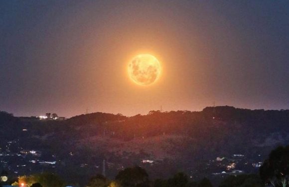 Super Blood Moon Qantas lunar eclipse viewing flight launches tonight