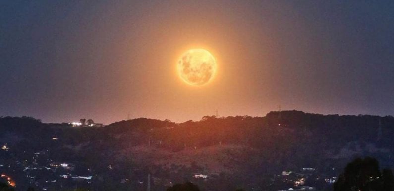 Super Blood Moon Qantas lunar eclipse viewing flight launches tonight
