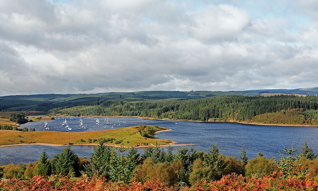 The joys of foraging in Northumberland's Kielder Water and Forest Park