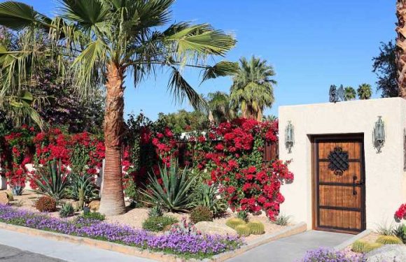 This Website Lets You Rent Stunning Gardens Around Los Angeles