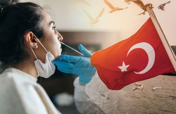 Turkey issues update on PCR ‘testing requirements’ – latest travel advice