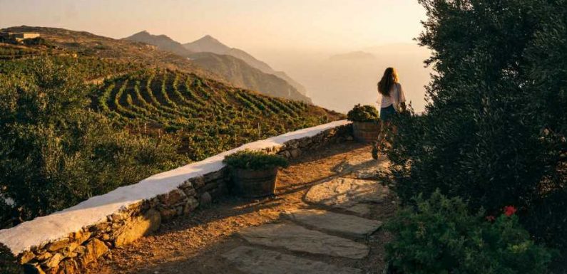 A Tasting Tour of the Greek Islands' Best Natural Wineries
