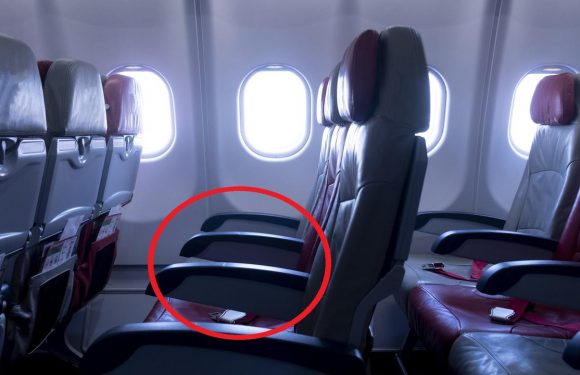 Argument over who gets the armrest on planes finally solved – but not everyone agrees