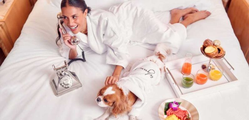 Encore Las Vegas will pamper your dog