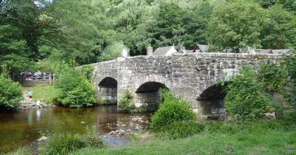Explore stunning British woodland with your dog by taking trip to Fingle Bridge