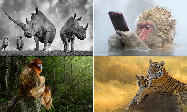 Lavish book presents images by one of world's top nature photographers