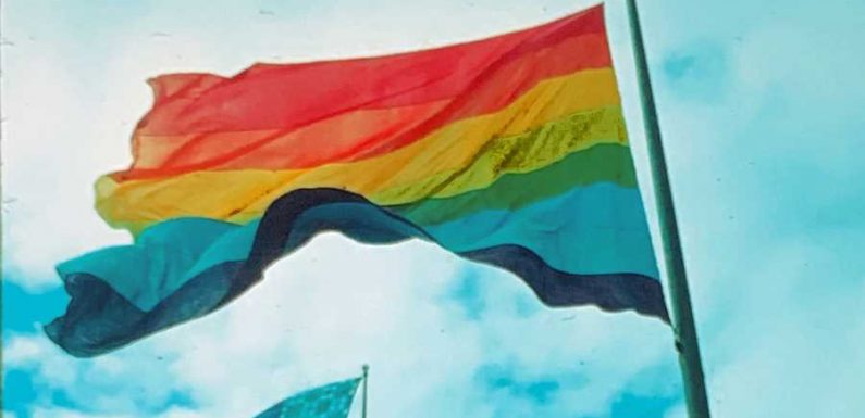 The Original Pride Flag Is Now on Display in a San Francisco Museum