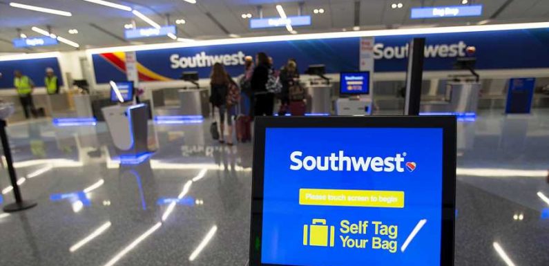 This Girl Tested Southwest's Two Bag Limit by Checking a Pool Noodle in a Hilarious TikTok