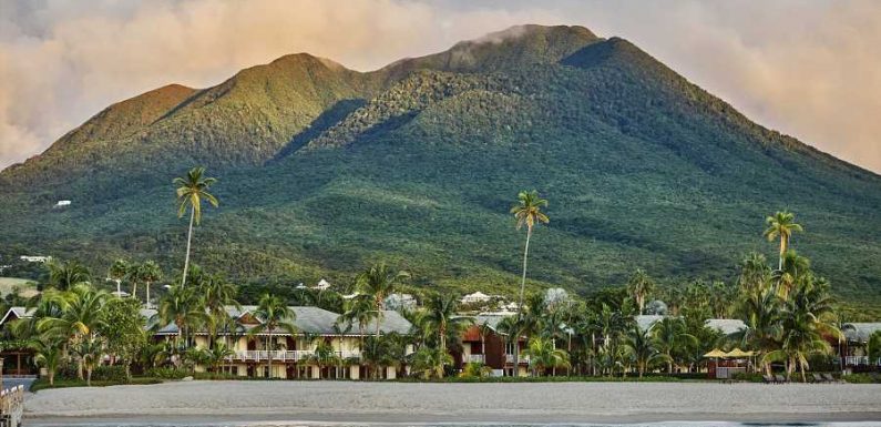 This Luxury Caribbean Resort Has a Sea Turtle Summer Camp Perfect for Families