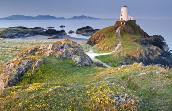 Walks of life: Take in the natural beauty of Britain on these trails