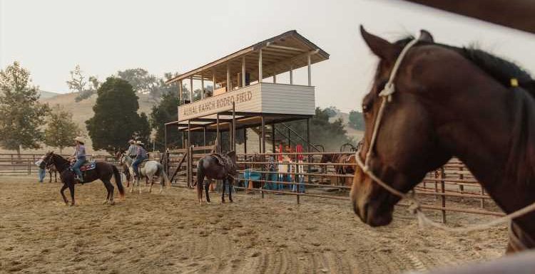 Where to Go for an Authentic Dude Ranch Experience in California