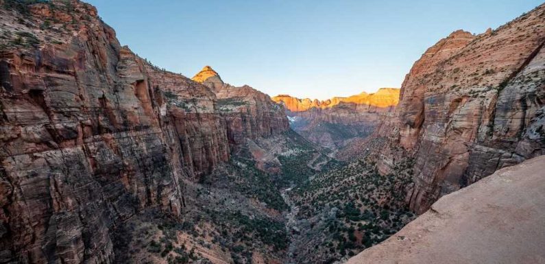 Zion National Park Just Received Official Dark Sky Status – and It's Celebrating With All the Nighttime Activities