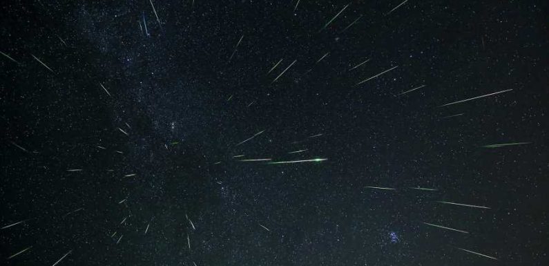 Catch the Best Shooting Stars of 2021 Next Month — Here's Where to Look