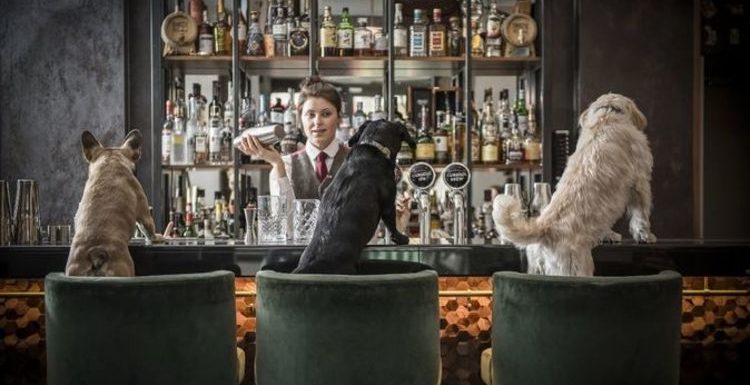 Cheers to this: London cocktail bar creates dog-friendly cocktail menu