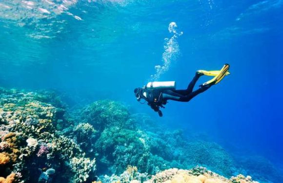 Montage Los Cabos launches PADI dive program