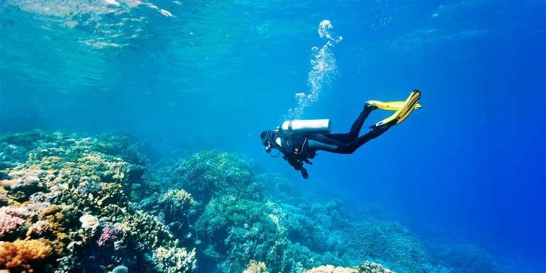 Montage Los Cabos launches PADI dive program