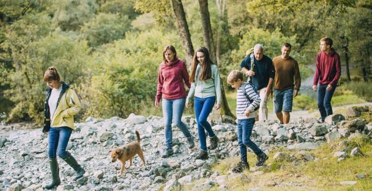 Most dog-friendly national parks in the UK: Where is the best park to walk dogs?