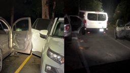 Bear goes through 8 unlocked cars in search of food near Estes Park