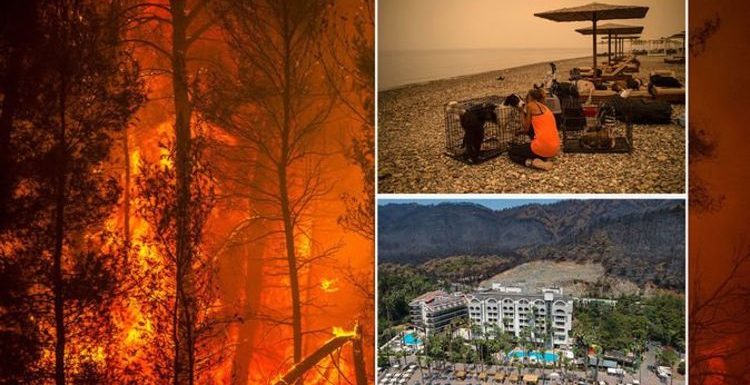 Greece holiday warning as ‘apocalyptic’ fires ravage nation – ‘travel disruption’ likely