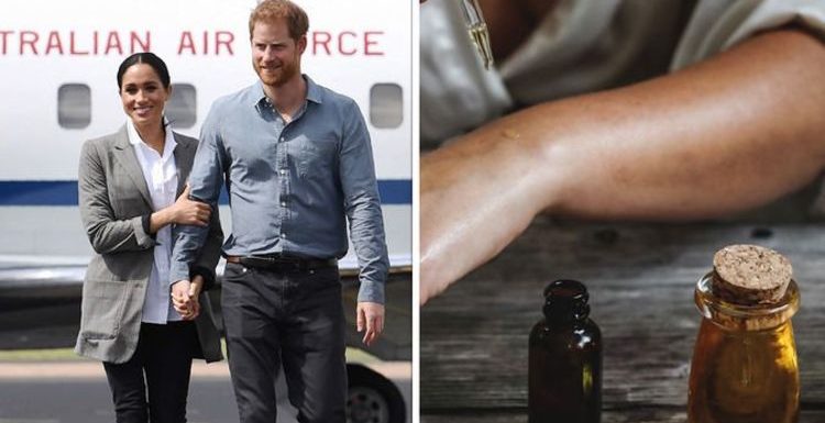Meghan Markle’s travel item she ‘can’t live without’ when flying – ‘not very glamorous’